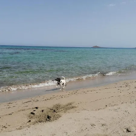 Дом отдыха Nonna Nina Капачи