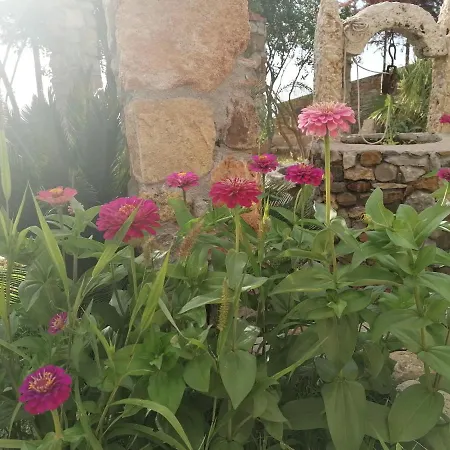 Hébergement de vacances Nonna Nina *